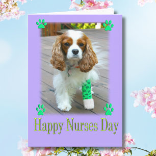 Happy Nurses Day mit Spaniels verbannt Fuß Karte