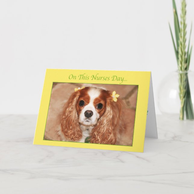 Happy Nurses Day mit Sweet Cavalier King Charles Karte (Vorderseite)