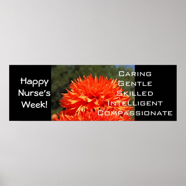 Happy Nurse's Week-Plakate Kümmerte Mitgefühl Poster (Vorne)