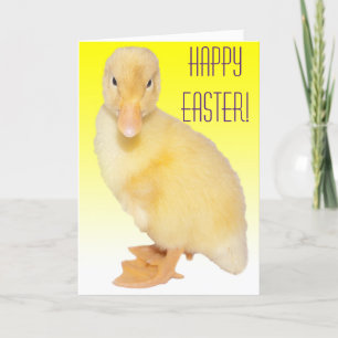 Happy Oaster Adorable Yellow Duckling Fotograf Feiertagskarte