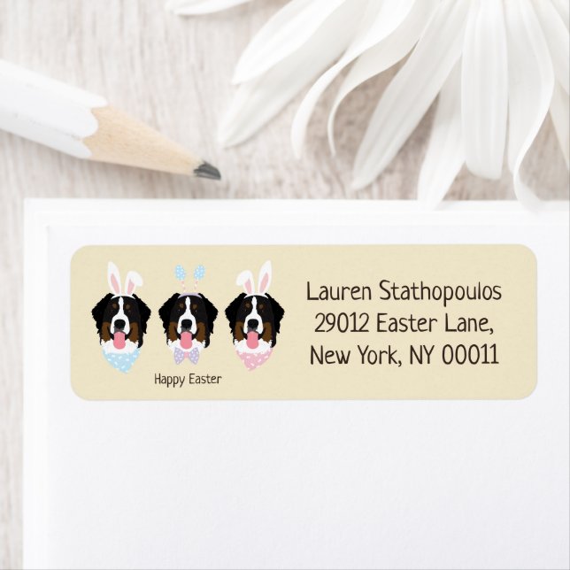 Happy Oaster Bernese Mountain Hunde (Insitu)