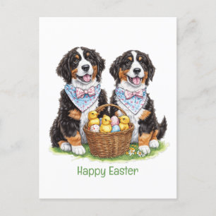 Happy Oaster Bernese Mountain Hunde Postkarte