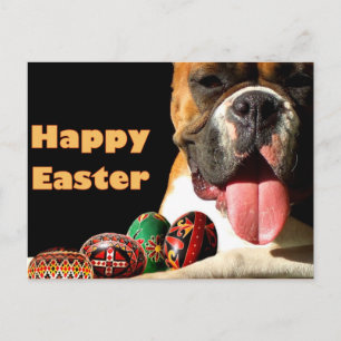 Happy Oaster Boxer Dog Postkarte