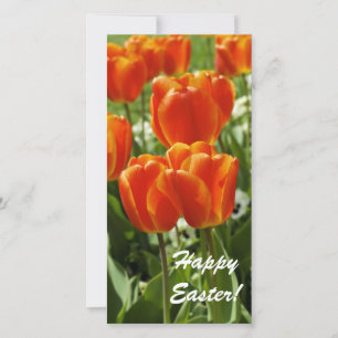 Happy Oaster Card Feiertagskarte