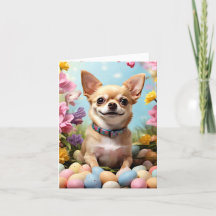Happy Oaster Chihuahua