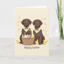 Happy Oaster Chocolate Labrador Retriever Hunde