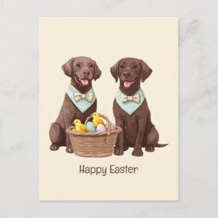 Happy Oaster Chocolate Labrador Retriever Hunde Postkarte