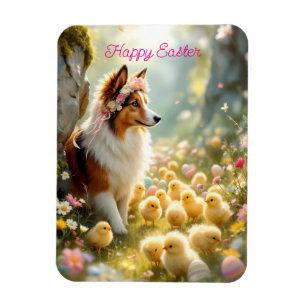 Happy Oaster Collie und Chicks Magnet