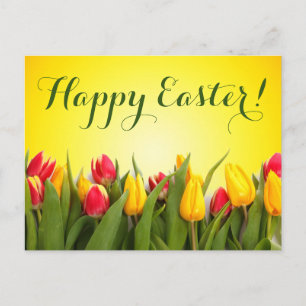 Happy Oaster Colorful Spring Tulips Skript Postkarte