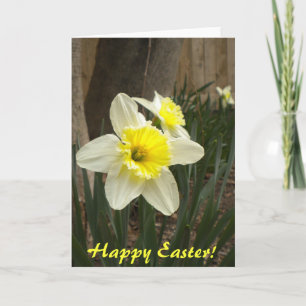 Happy Oaster Daffodils Card Feiertagskarte