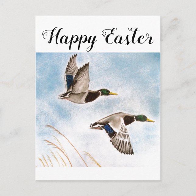 Happy Oaster Enck Hunters Postkarte (Vorderseite)