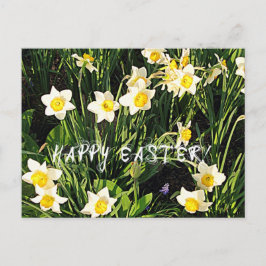 Happy Oaster Feiertagspostkarte