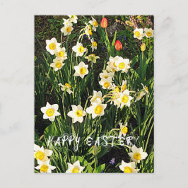 Happy Oaster Feiertagspostkarte