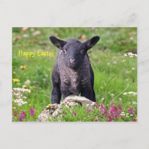 Happy Oaster Feiertagspostkarte