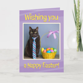 Happy Oaster für alle Niedlichen Katzen in der Kra Feiertagskarte