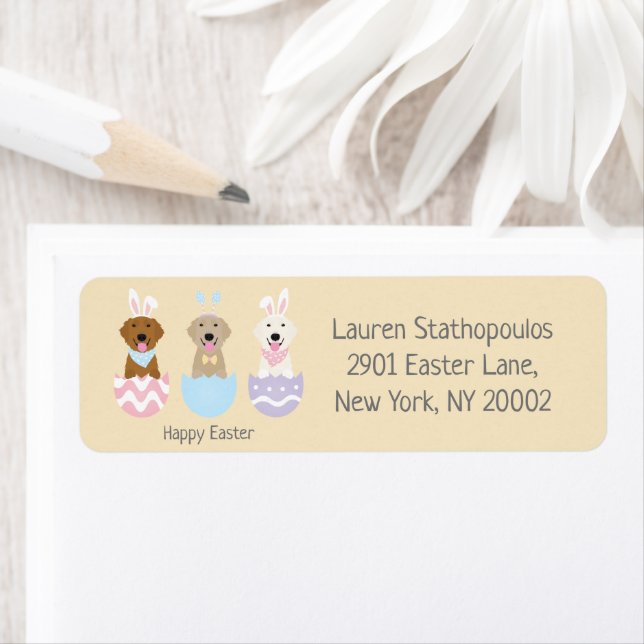 Happy Oaster Golden Retriever Hunde (Insitu)