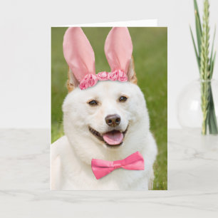 Happy Oaster jedermann Shiba Inu Hund in sonnigen  Feiertagskarte