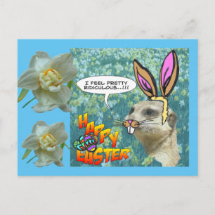 Happy Oaster Meerkat Daffodils Postkarte