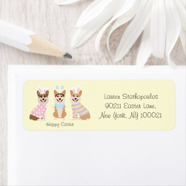 Happy Oaster Pembroke Welsh Corgi Dogs (Insitu)