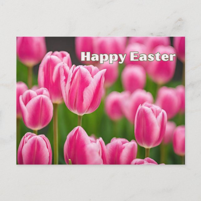 Happy Oaster Pink Tulip Blume Feiertagspostkarte (Vorderseite)