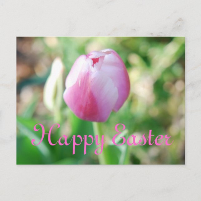 Happy Oaster Pink Tulip Feiertagspostkarte (Vorderseite)