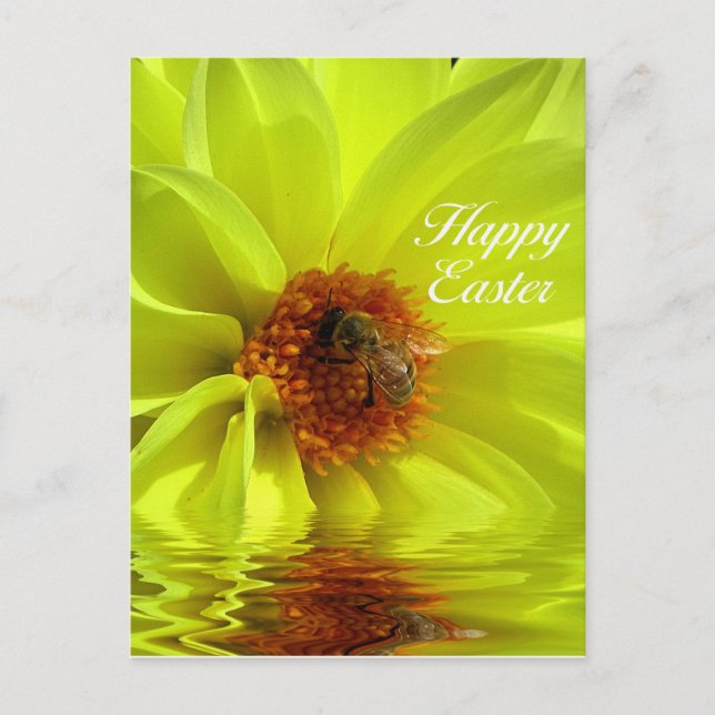 Happy Oaster Postkarte (Vorderseite)