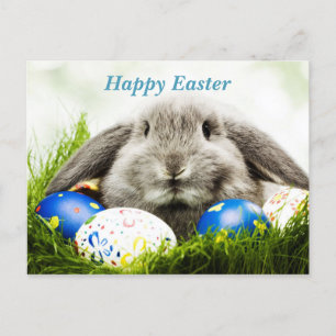 Happy Oaster Rabbit Ankündigungspostkarte