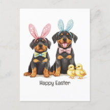 Happy Oaster Rottweiler Hunde Bunny Ears