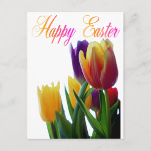 Happy Oaster Tulips Grußkarten Feiertagspostkarte