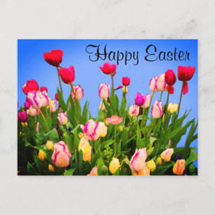 Happy Oaster Verschiedene Tulpen #3 Postkarte