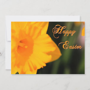 Happy Oaster Yellow Spring Daffodie Blume Feiertagskarte
