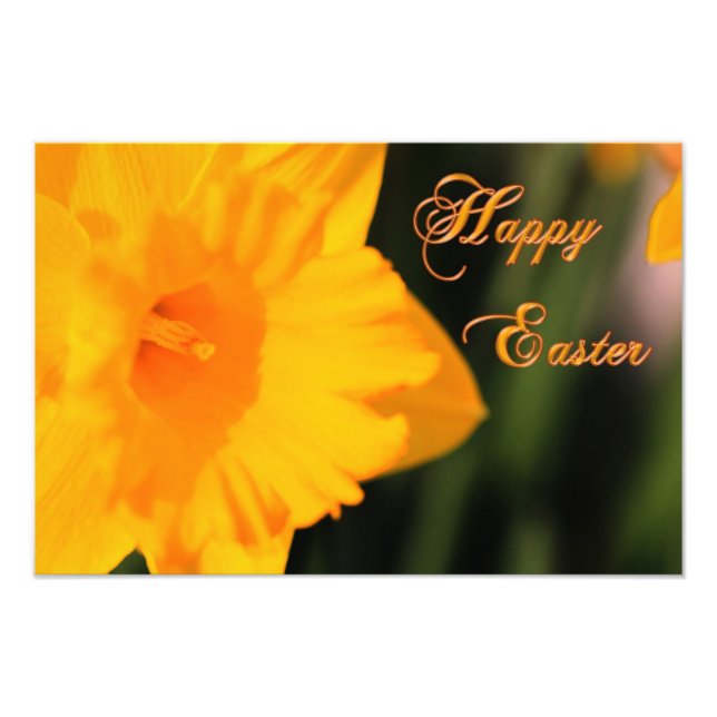 Happy Oaster Yellow Spring Daffodie Blume Fotodruck (Vorne)