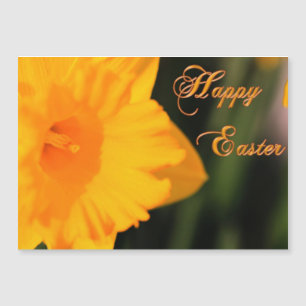 Happy Oaster Yellow Spring Daffodie Blume Magnetkarte