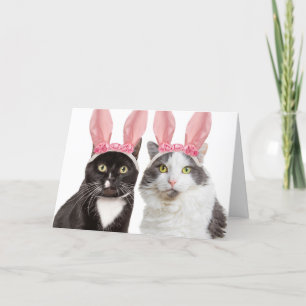 Happy Oaster Zwei Niedliche Katzen im Spaß "Bunny Feiertagskarte