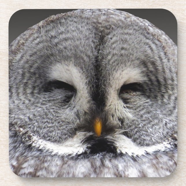 Happy Owl Getränkeuntersetzer (Vorderseite)