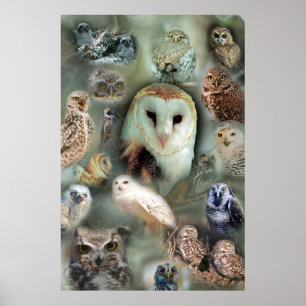Happy Owls Plakatdruck Poster