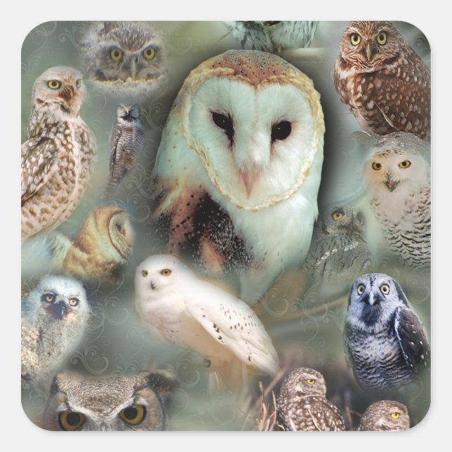 Happy Owls Quadratischer Aufkleber (Vorderseite)