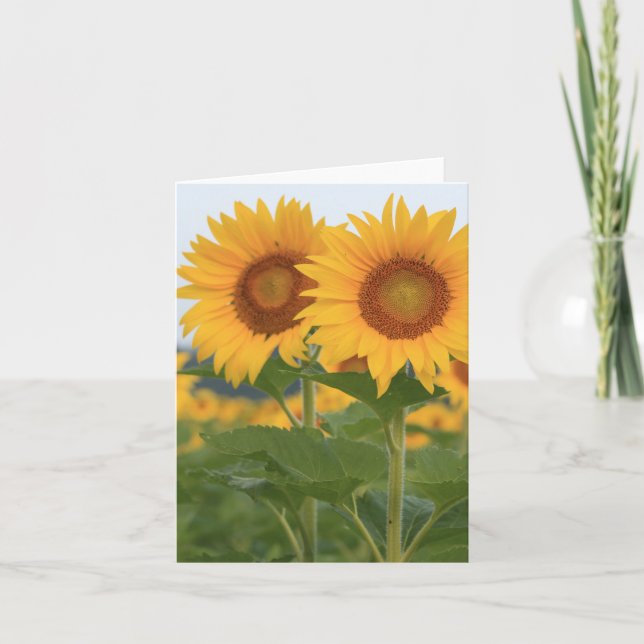 Happy Pair of Sunflowers Note Card Dankeskarte (Vorderseite)