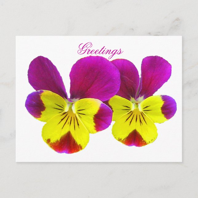 Happy Pansy Greetings Postcard Postkarte (Vorderseite)