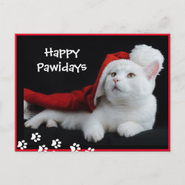 Happy Pawidays, Cat, Art Postcard Postkarte