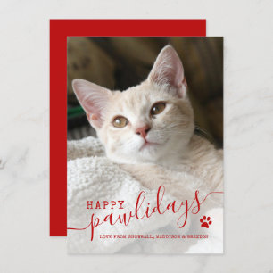Happy Pawlidays Cat Pet Foto Weihnachten