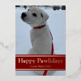 Happy Pawlidays Folien Feiertagskarte