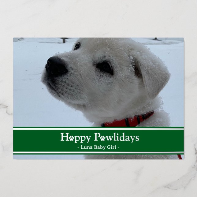 Happy Pawlidays Folien Feiertagskarte (Vorderseite)