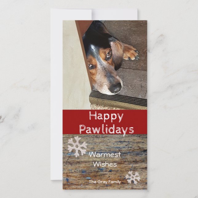 Happy Pawlidays | Foto Weihnachten (Vorderseite)
