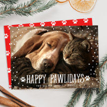 Happy Pawlidays | Fotokarte für den Urlaub