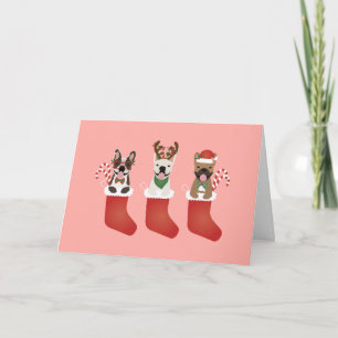 Happy Pawlidays French Bulldogs Christmas Karte