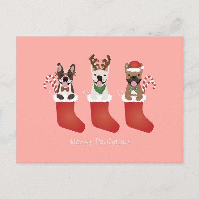 Happy Pawlidays French Bulldogs Christmas Strumpf Postkarte (Vorderseite)
