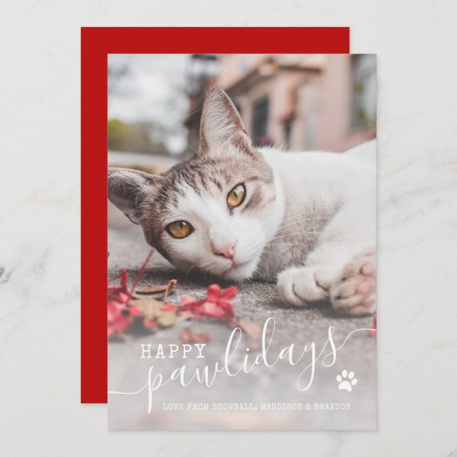 Happy Pawlidays Funny Cat Foto Weihnachten (Vorne/Hinten)