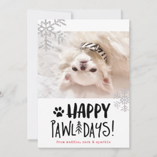 Happy Pawlidays | Pet Foto Holiday Card Feiertagskarte