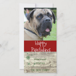 Happy Pawlidays | Weihnachtsgrüße Foto Feiertagskarte